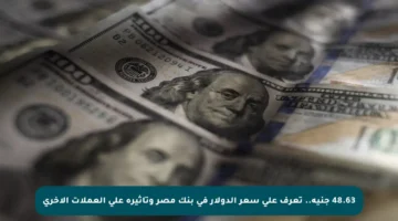 48.63 جنيه.. تعرف على سعر الدولار في بنك مصر وتأثيره على العملات الأخرى